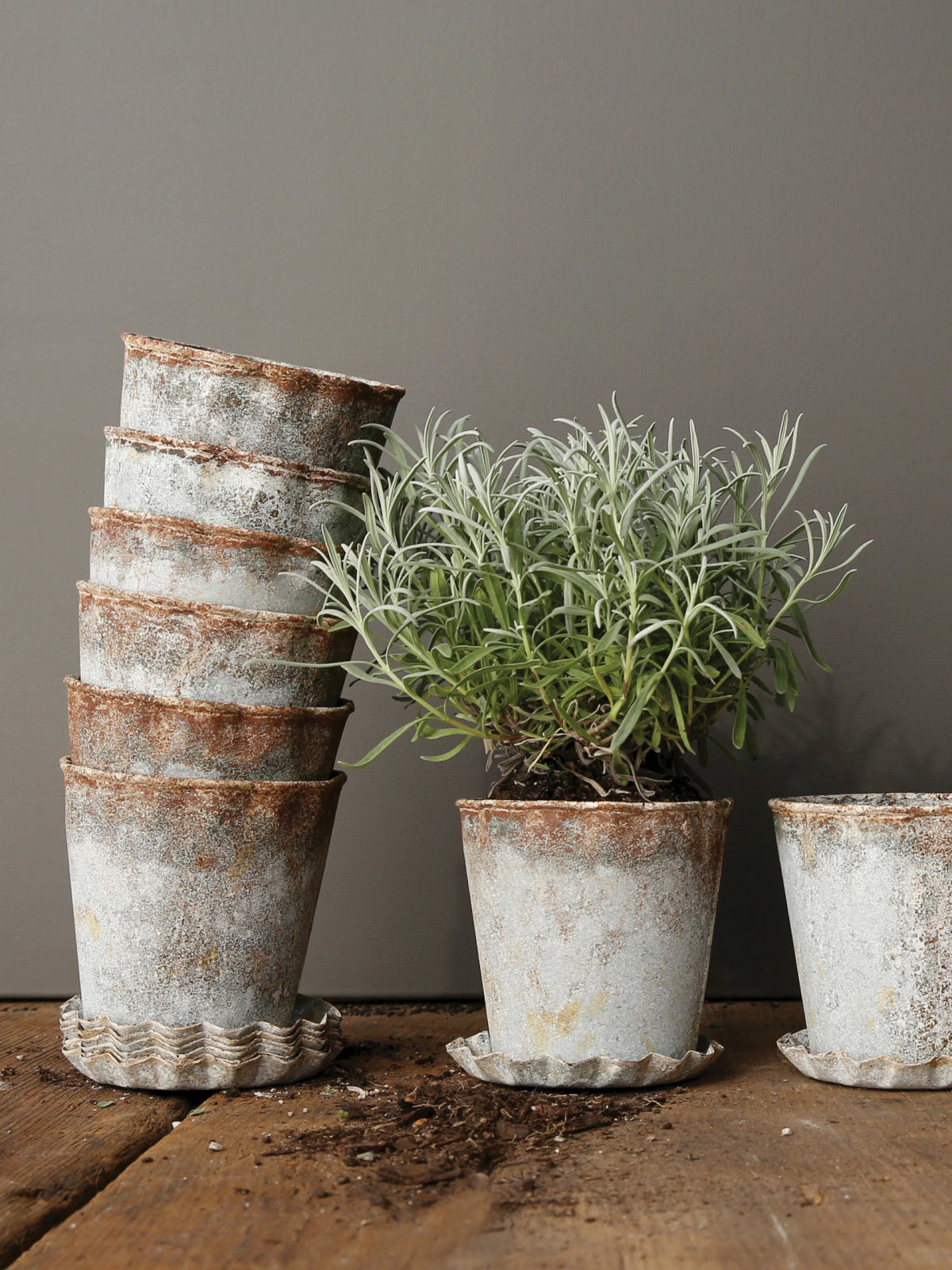 Metal Pleated Planter with Saucer