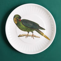 Large Parrot Plate, Set of 4