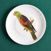 Small Parrot Plate, Set of 4