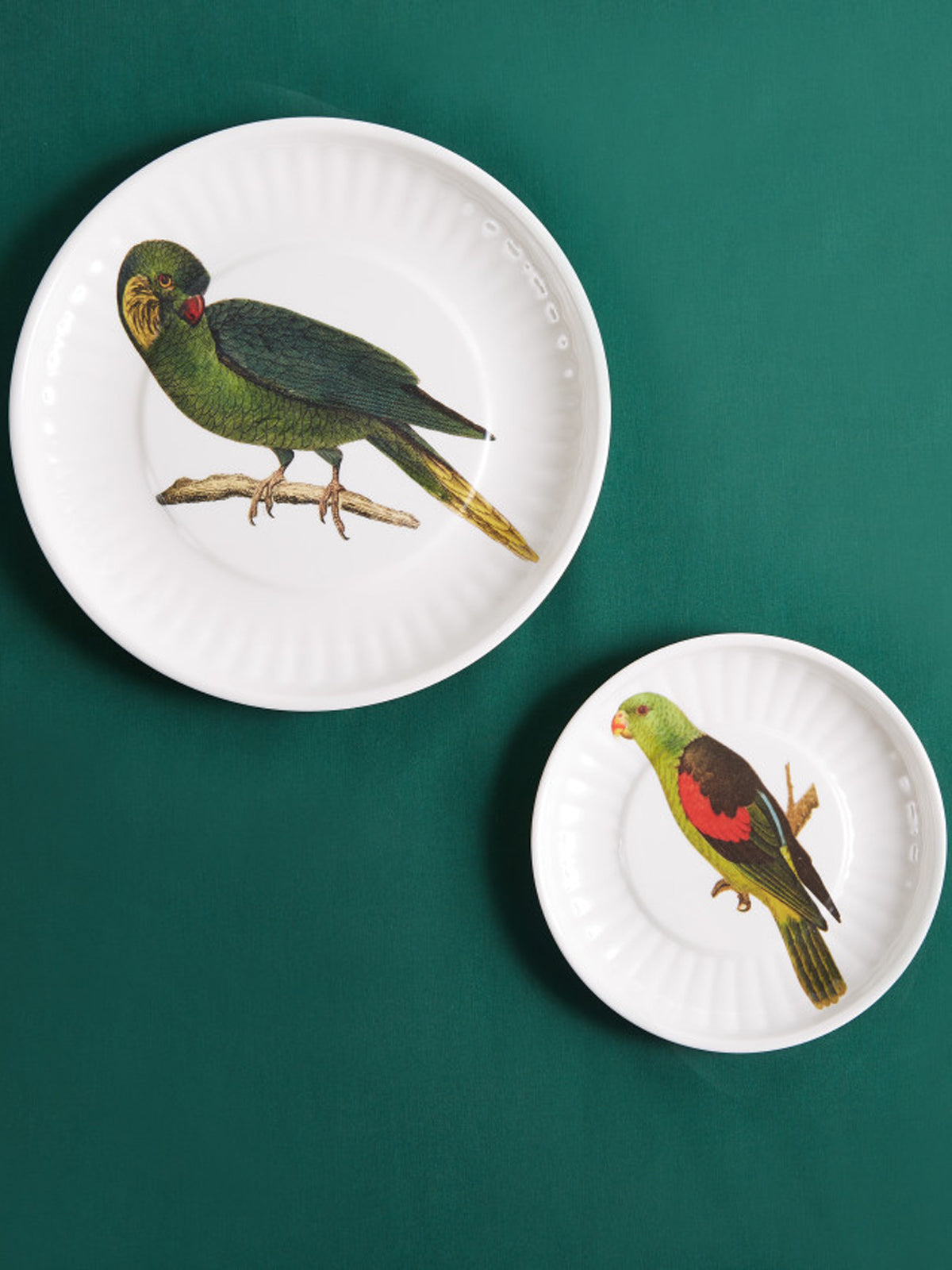 Large Parrot Plate, Set of 4