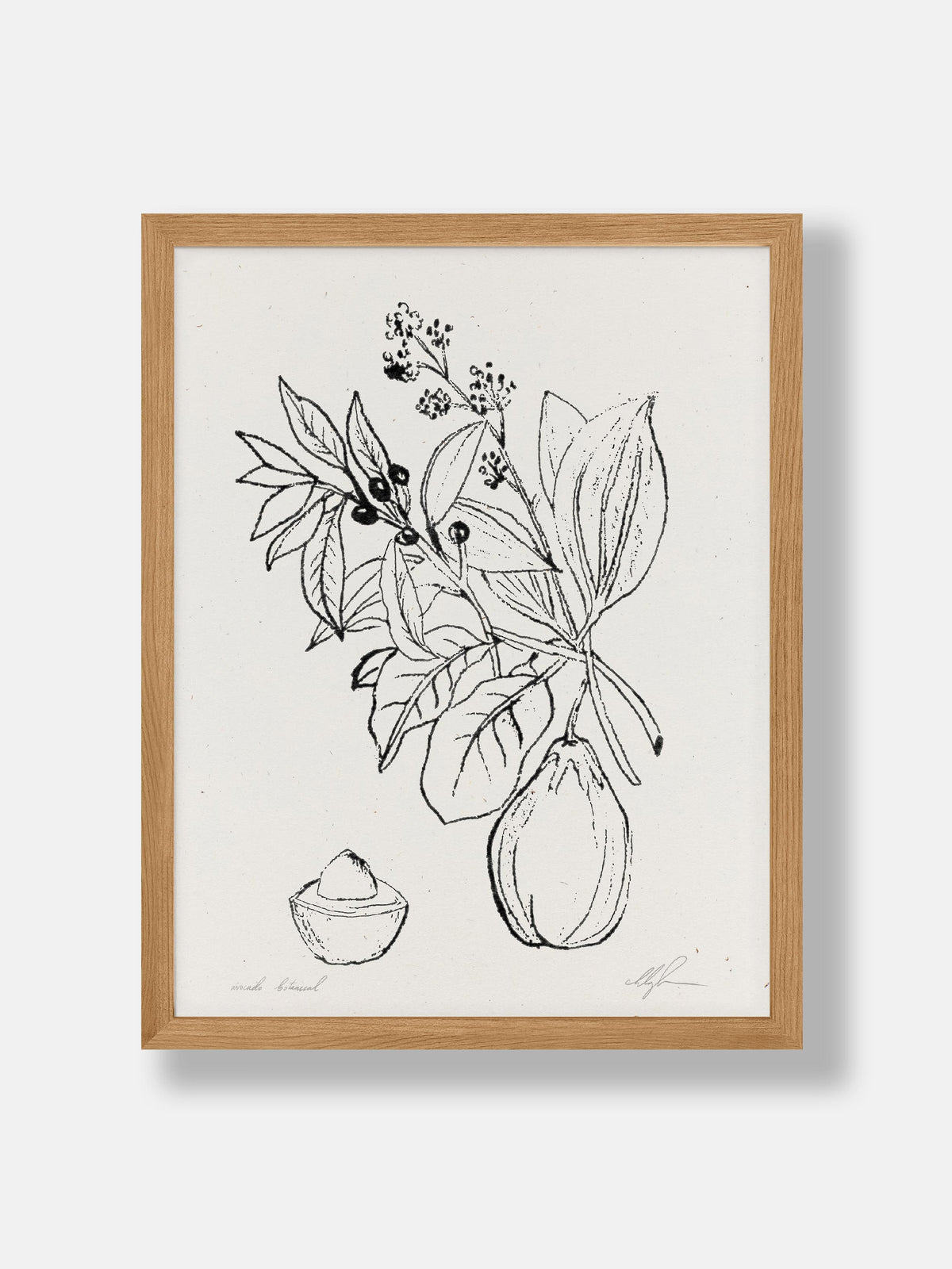 Avocado Botanical Print