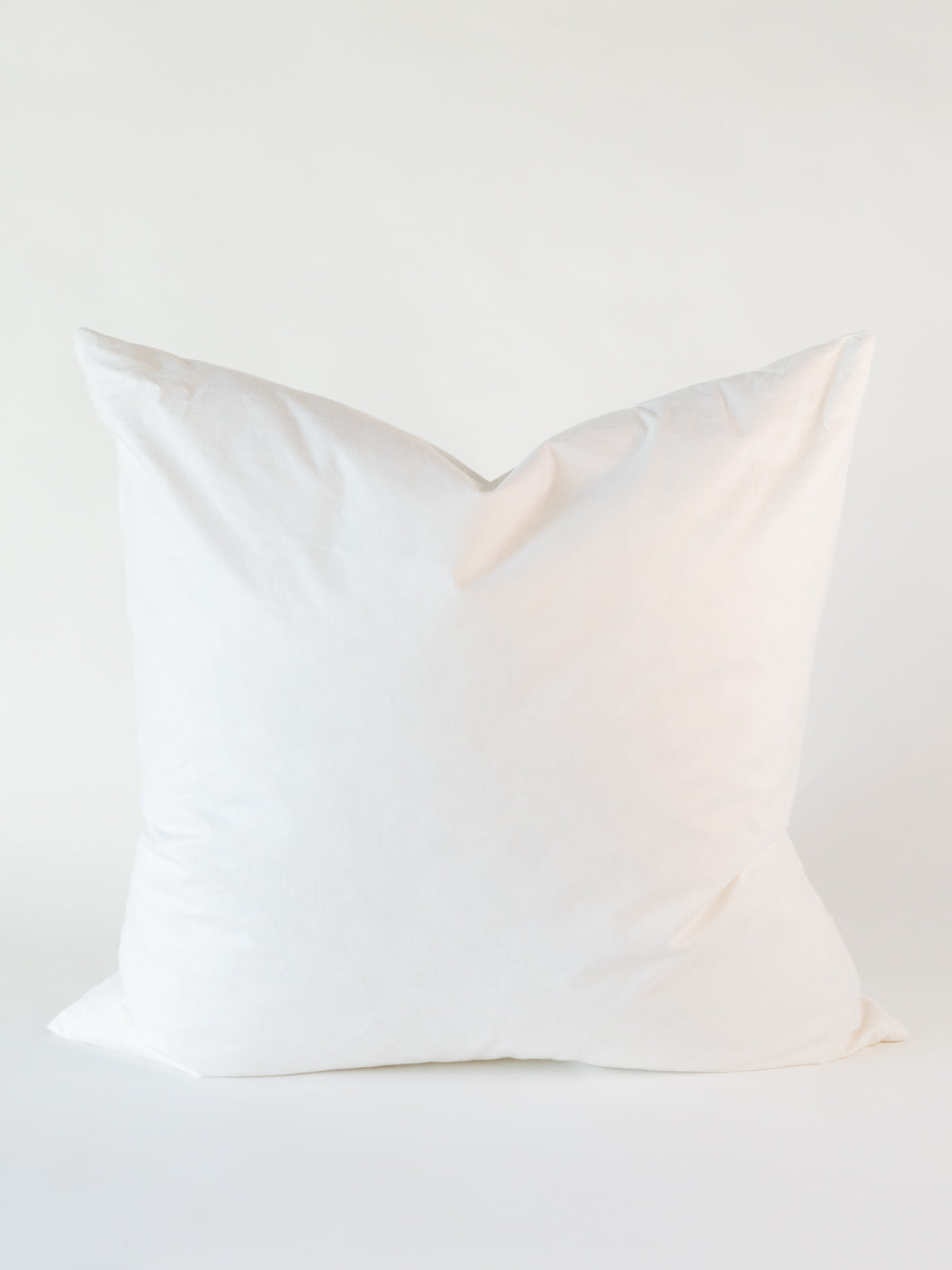 Pillow Insert